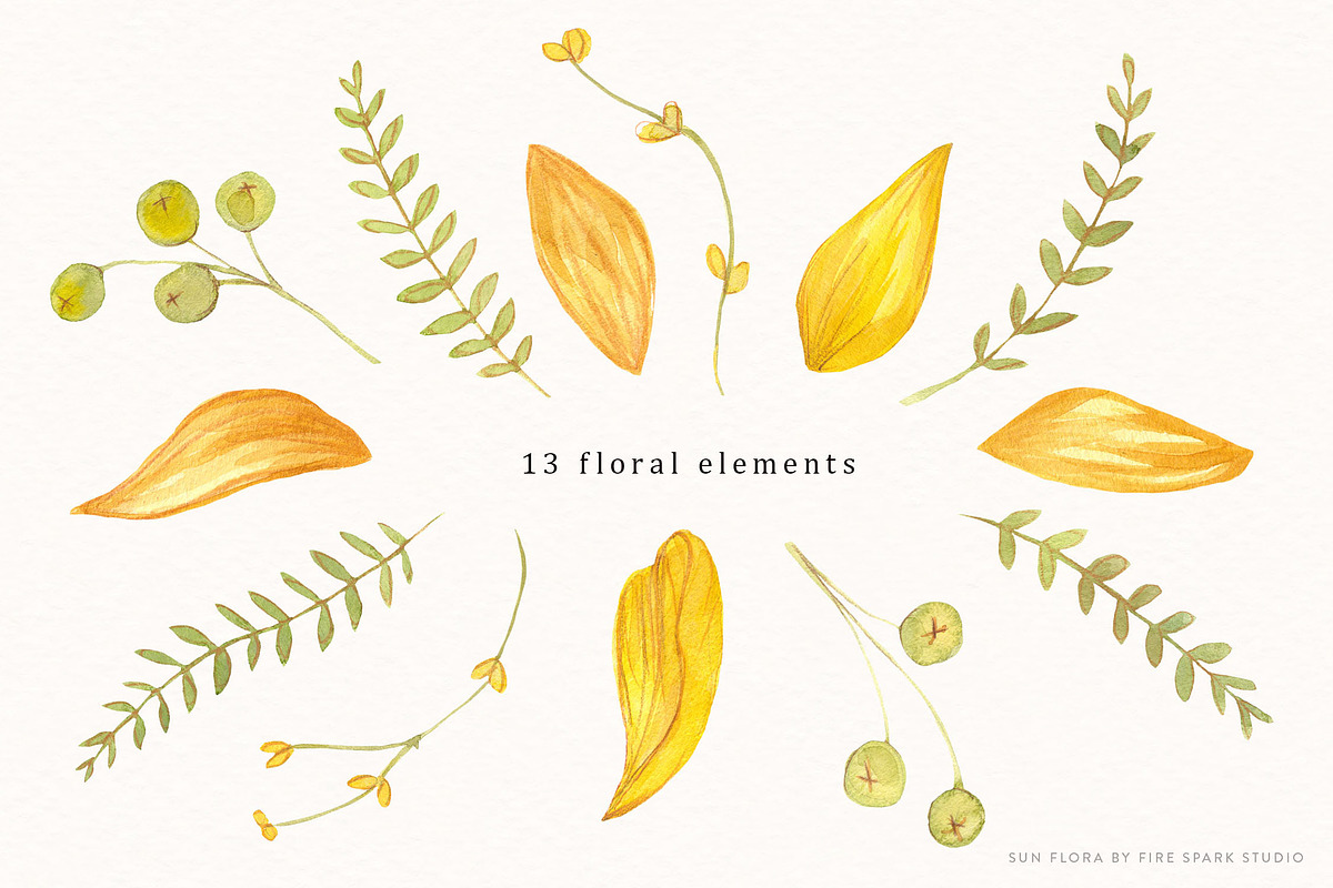 Sunflower Watercolor Illustrations, an Illustration by Fire Spark Studio (Photo 5 of 10)