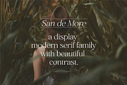 San de More Stylish Classy Serif, a Serif Font by Kereatype (Thumbnail 9 of 15)