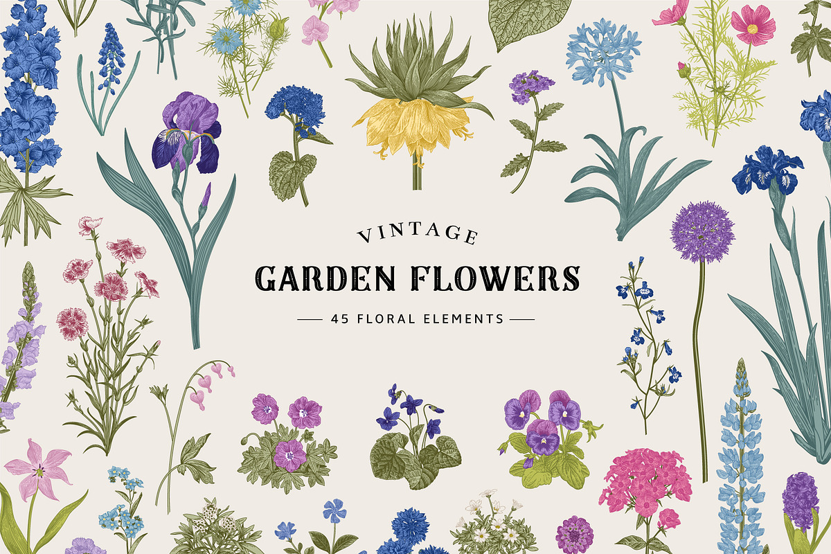 Garden flowers. Colorful, an Illustration by olga.korneeva (Photo 1 of 5)