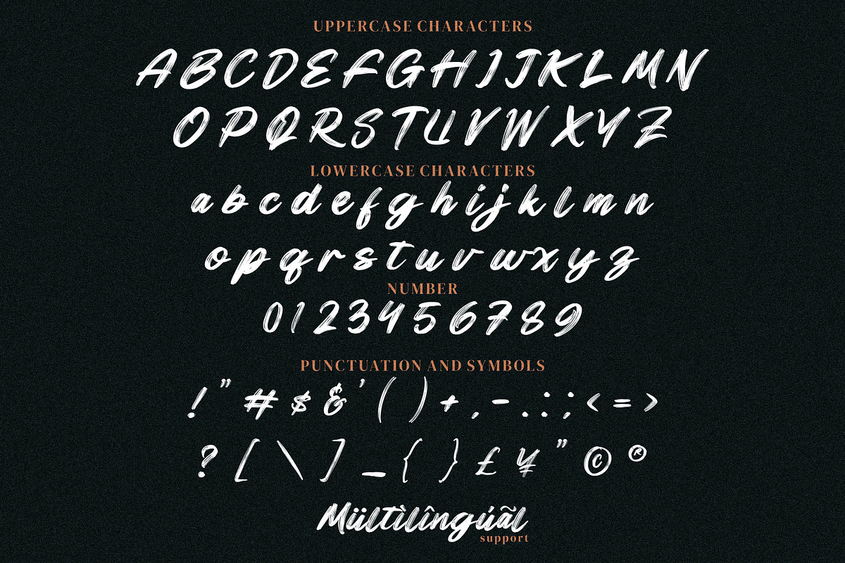 Black Raint, a Handwritten Font by Integritype Studio (Photo 6 of 10)