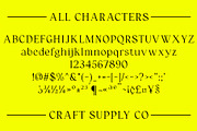 Catelyn – Elegant Font, a Serif Font by Craft Supply Co. (Thumbnail 6 of 8)