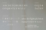 Chamola - A Beauty Modern Serif, a Serif Font by Muflieart (Thumbnail 10 of 10)