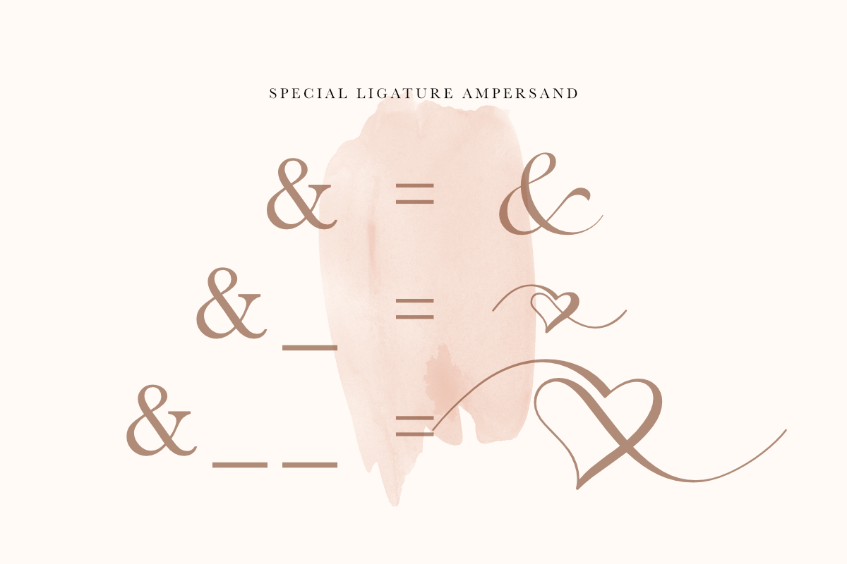 Robinsan - Premium Calligraphy, a Script Font by Silverdav (Photo 7 of 16)