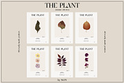 The PLANT. Autumn collection, a Pattern Graphic by NKTN (Thumbnail 16 of 18)