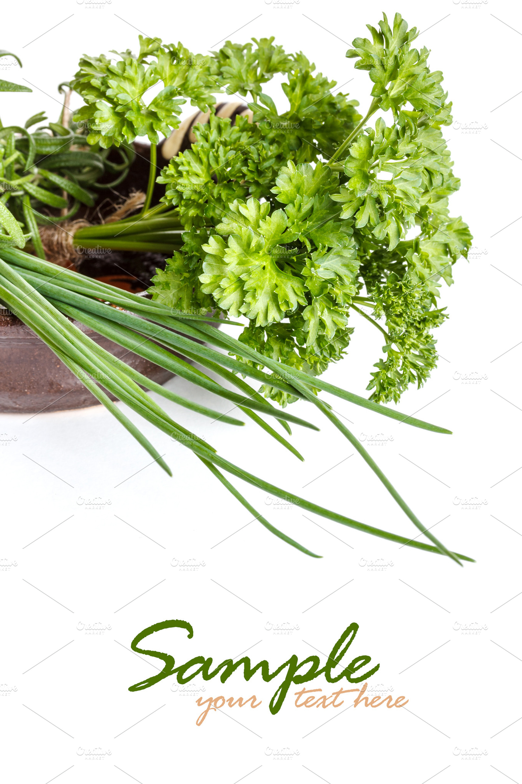 Different Kinds Of Herbs