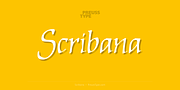 Scribana, a Script Font by preussTYPE (Thumbnail 1 of 8)