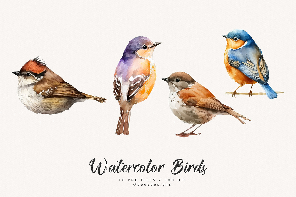Watercolor Birds I, an Animal Illustration by PeDe Designs (Photo 5 of 5)