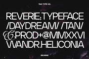 TAN-THE REVERIE, a Sans Serif Font by TanType (Thumbnail 4 of 11)