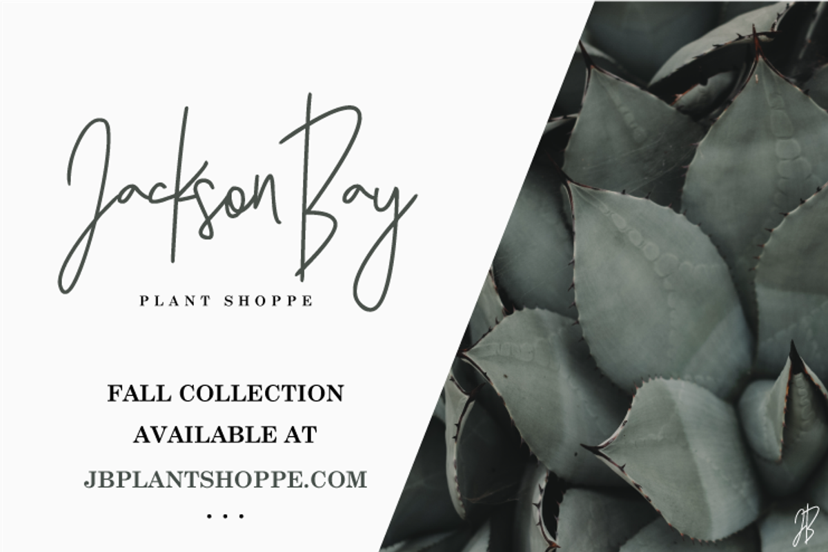 Hearth & Home Font Duo preview 7