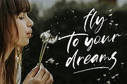 Bluebird, a Script Font by Larin Type Co. (Thumbnail 4 of 10)