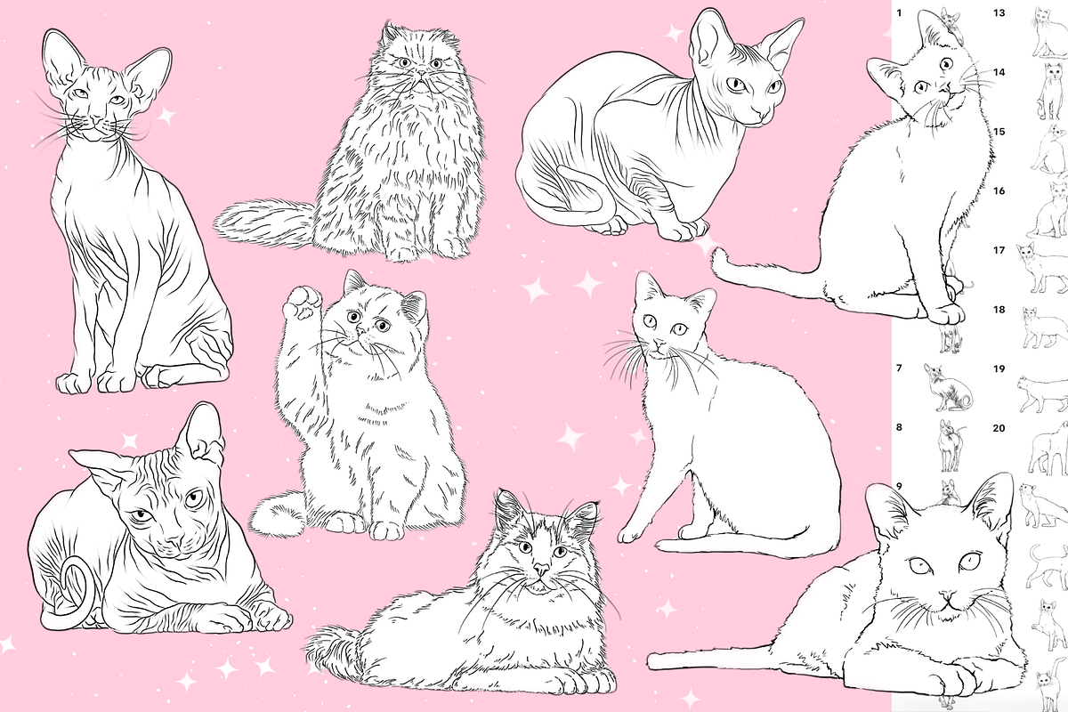 Procreate Cat animal brushes, a Brush Add-On by Revabrush