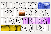 Rocen VF - Variable Display Serif, a Serif Font by Sign Studio (Thumbnail 5 of 16)