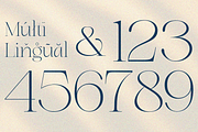 Dary, a Serif Font by zaaintype (Thumbnail 9 of 10)