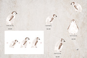 Cute penguins clipart and 3 patterns, an Animal Illustration by Leksart (Thumbnail 9 of 12)