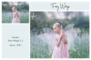 40 Fairy Wings PS Overlays