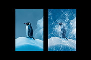 Frozen Cracked Ice Photo Effect, a Layer Style Add-On by Design Squad (Thumbnail 3 of 6)