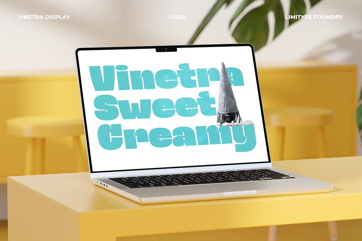 Vinetra - Bold Font, a Sans Serif Font by limitype (Photo 9 of 11)