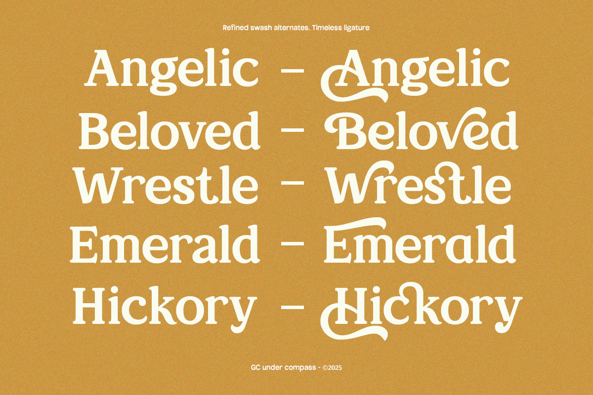 GC Under Compas – Timeless Serif, a Serif Font by Glyphonic (Photo 13 of 15)