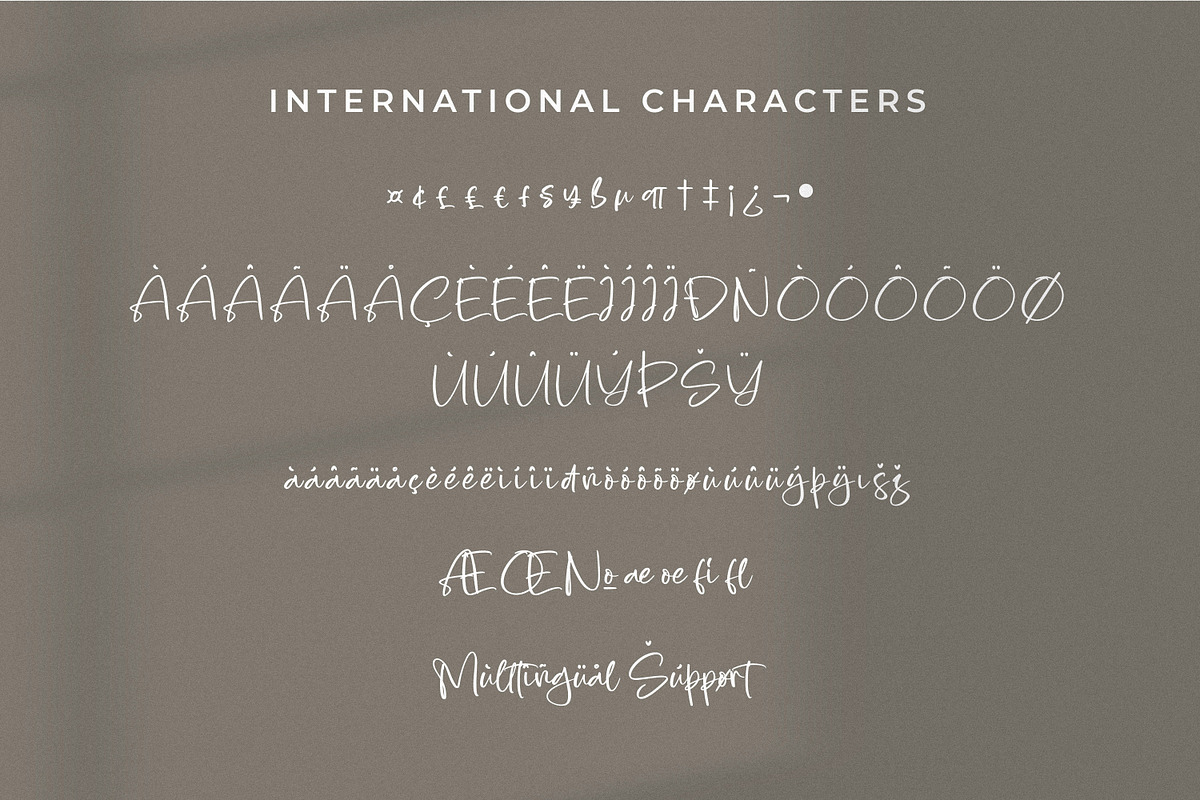 Quinttesa, a Script Font by Integritype Studio (Photo 10 of 15)
