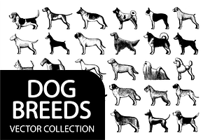 Engraved Dog Breeds Vector Pack