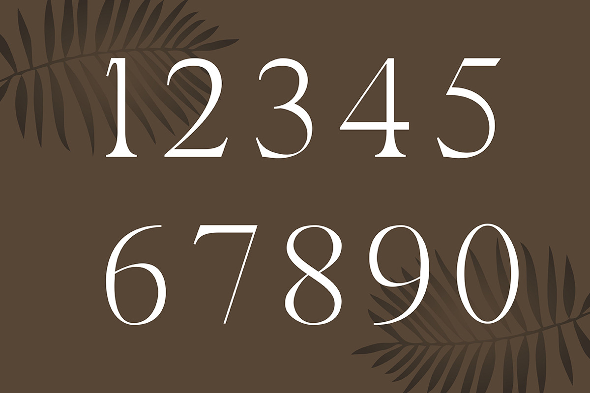 Avander | Modern Stylish, a Serif Font by Muntab_Art (Photo 13 of 13)