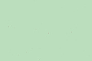The particle cardboard collection, a Texture Graphic by The Shop (Thumbnail 35 of 43)