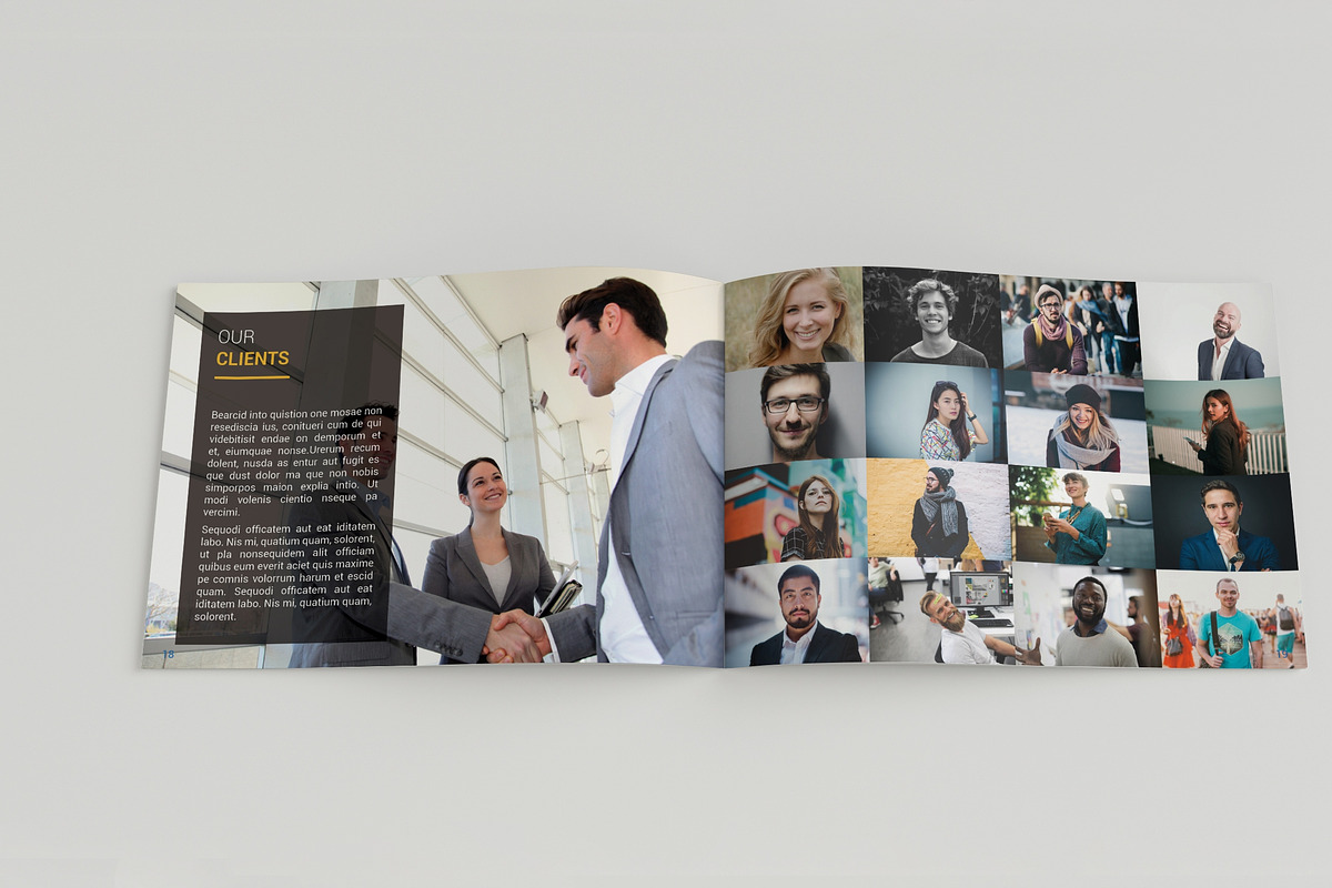 A5 Professional Brochure, a Brochure Template by BoriesBechker (Photo 11 of 11)