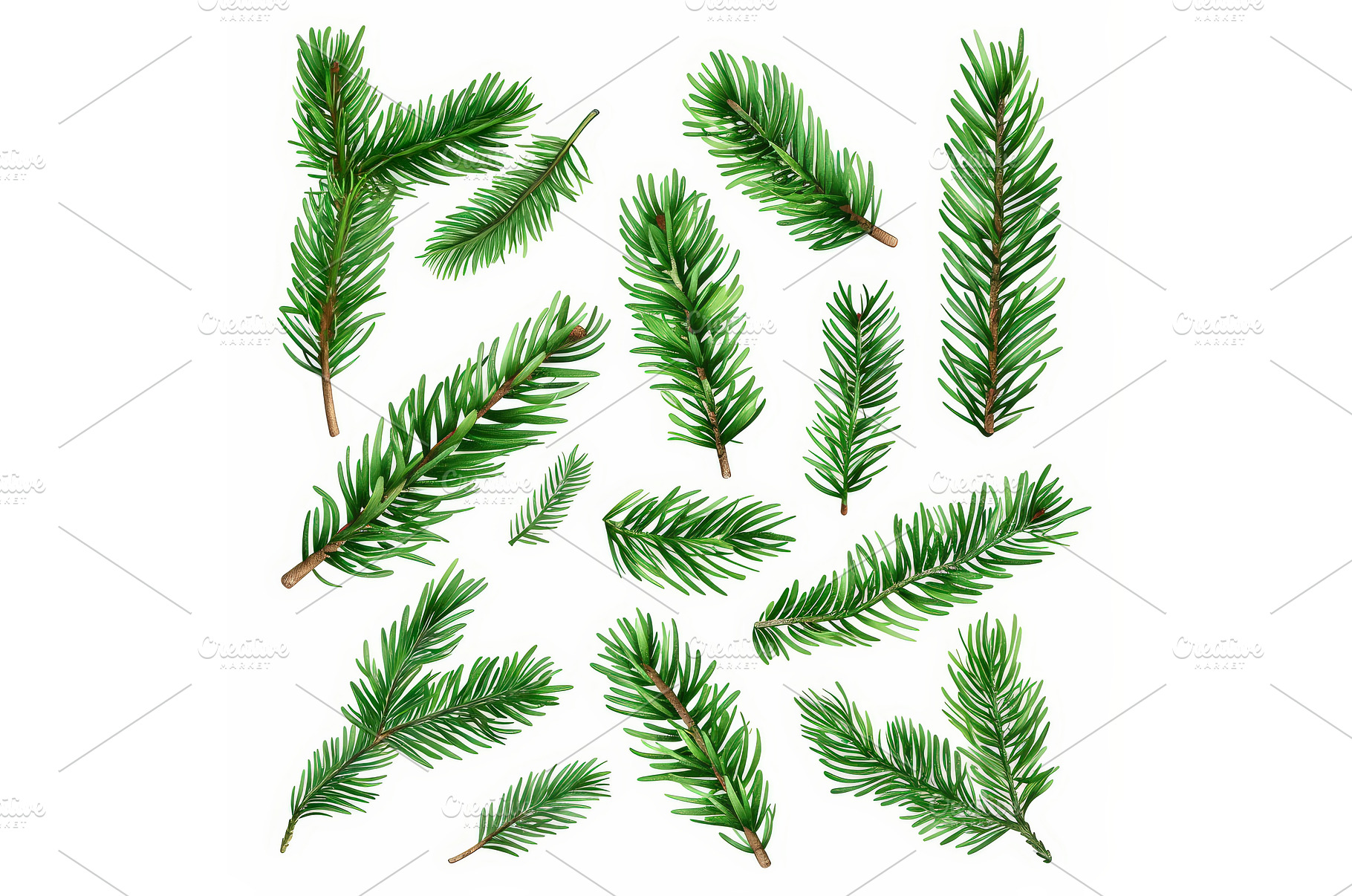 Various green pine branches, a Nature Photo by piter.goskov