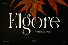 Elgore Elegant Modern Serif Font