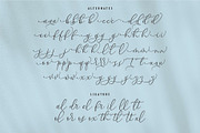 BANDEYRA | Handwriting Script, a Handwritten Font by Havinkpen (Thumbnail 7 of 7)