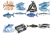Sardines Clipart, a Decorative Illustration by stickermadness (Thumbnail 4 of 4)