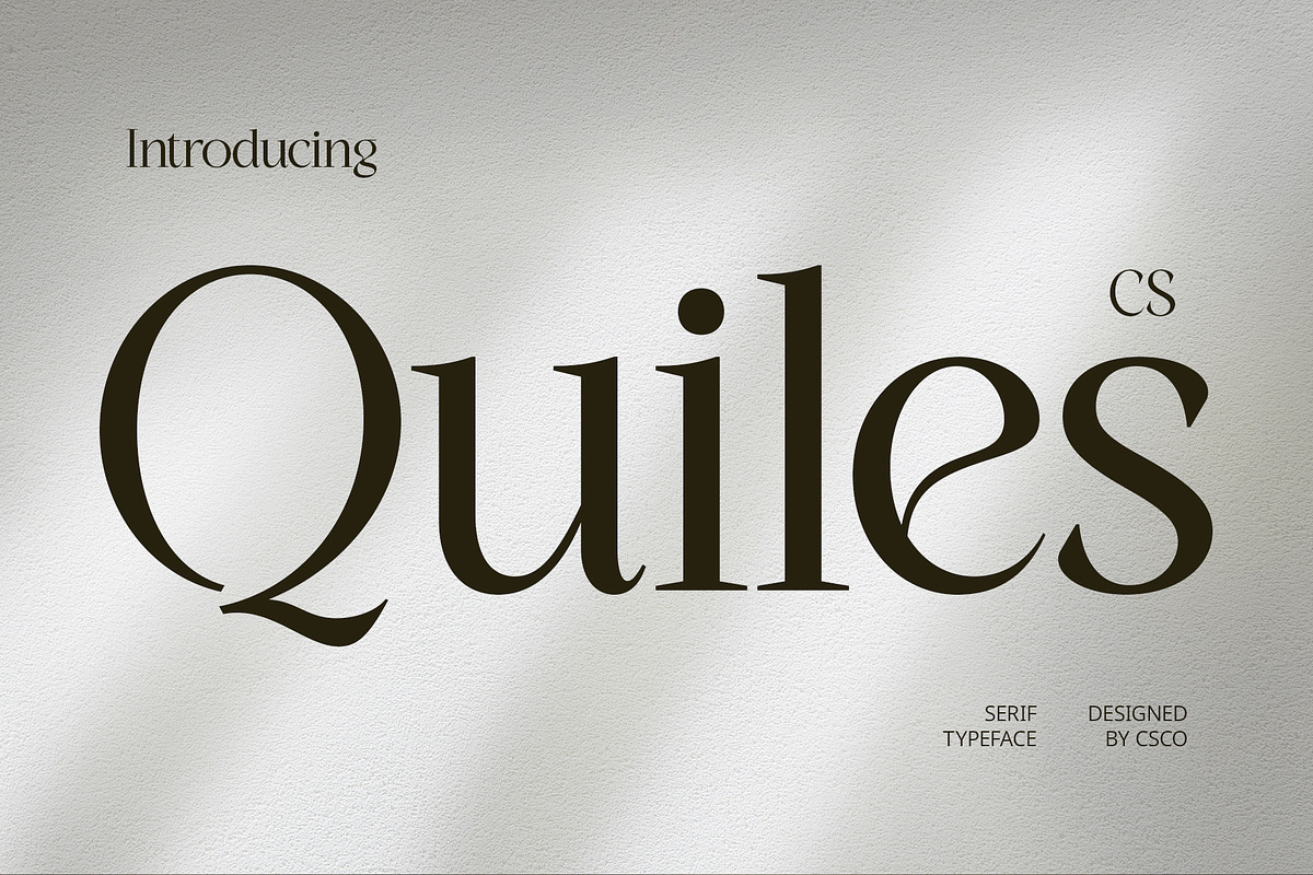 CS Quiles – Elegant Font, a Serif Font by Craft Supply Co. (Photo 1 of 8)