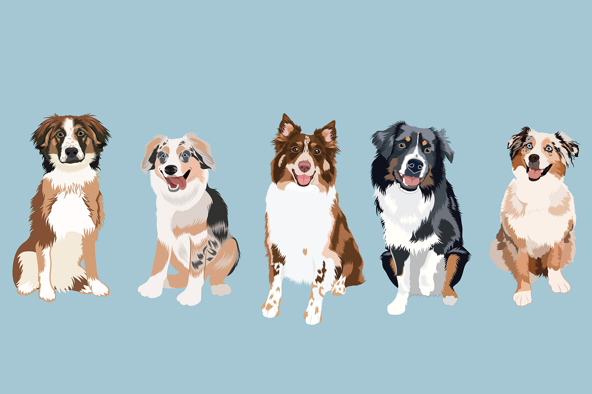 Australian Shepherd Clip Art Bundle, an Illustration by Putnam Road Art (Photo 2 of 4)