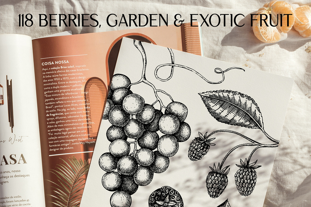 BUNDLE - Fruit & Berries Collection, a Food Illustration by Yevheniia (Photo 2 of 9)