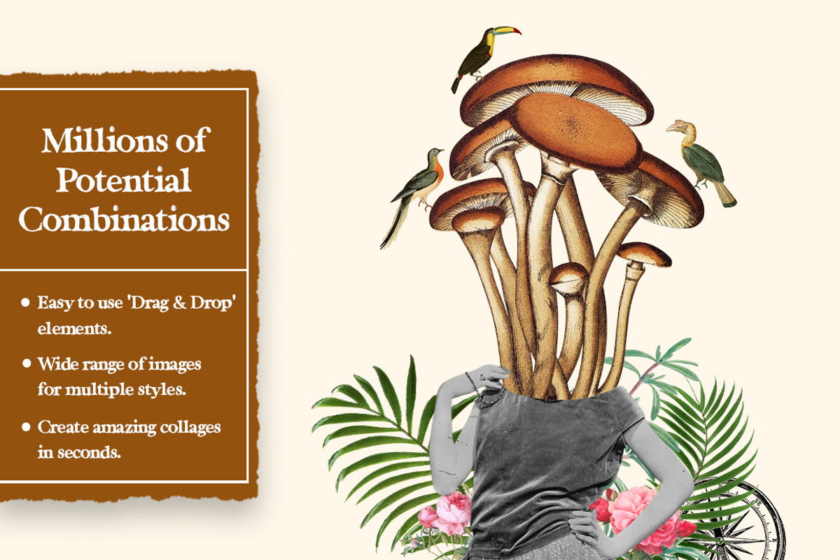Vintage Fungi Digital Collage Pack, an Object Graphic by Collage Supply Co (Photo 2 of 3)