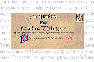799 Insular, a Script Font by GLC Foundry