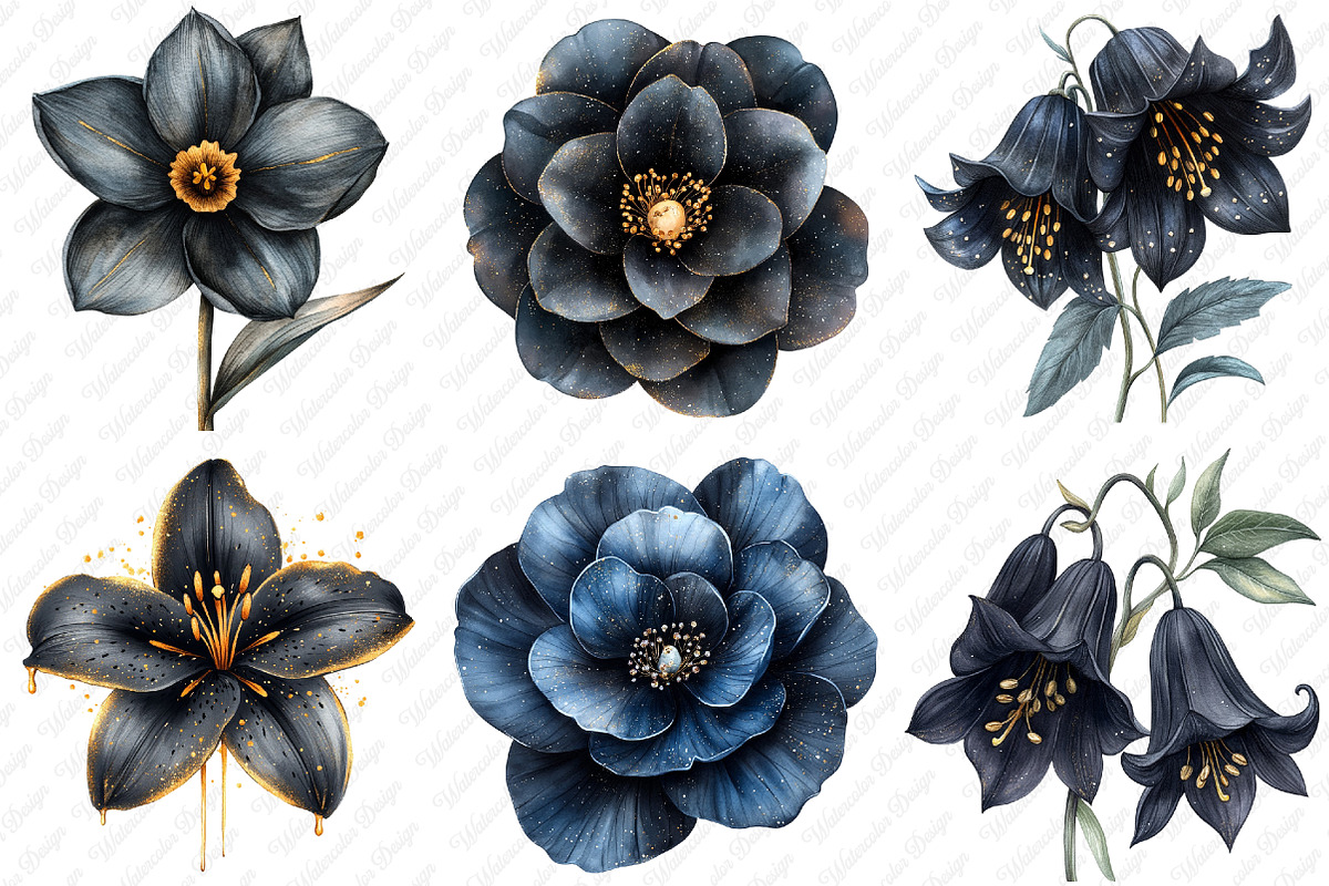 Glitter Luxury Black Spring Flower, an Illustration by Watercolor design (Photo 3 of 12)