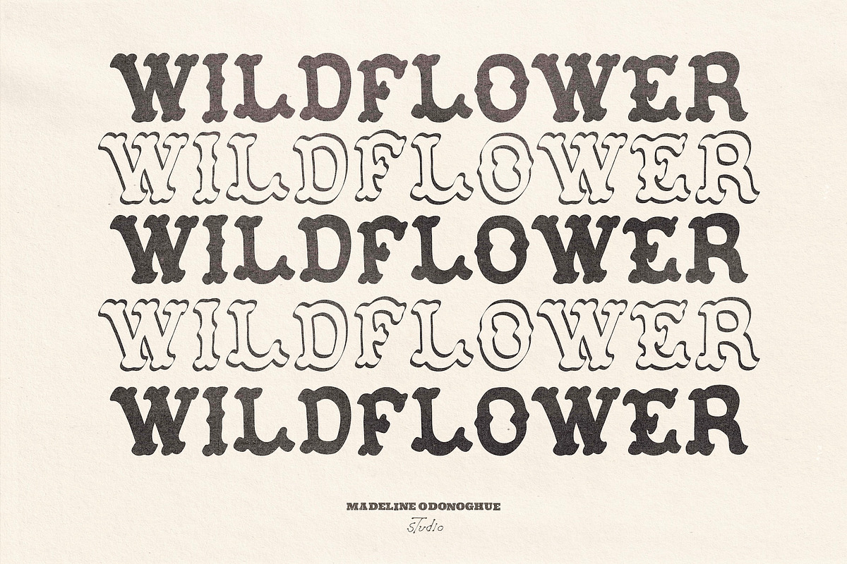 WestFolk | Hand Crafted Font, a Handwritten Font by Madeline ODonoghue Design (Photo 2 of 10)