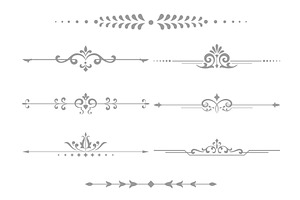 Vintage set. Floral elements for, a Decorative Illustration by RODINA