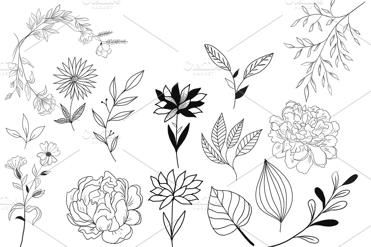 Procreate Stamps Floral II, a Brush Add-On by Li Zamperini (Photo 2 of 3)