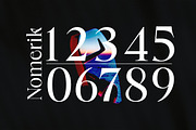 Radilen Aveline, a Serif Font by Dora Typefoundry (Thumbnail 12 of 18)