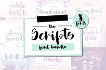 Scripts Font Bundle, 8 fonts