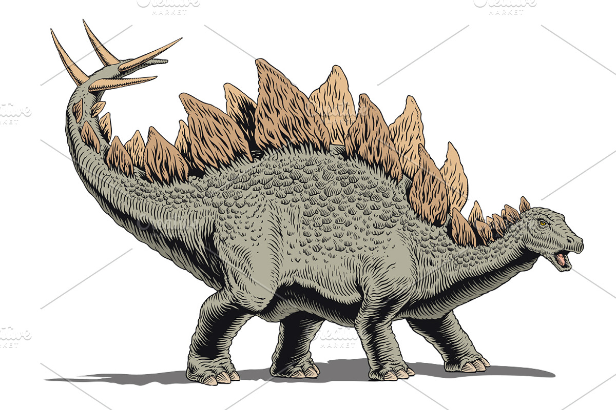 Stegosaurus dinosaurus, comic style, an Animal Illustration by Ledokolua