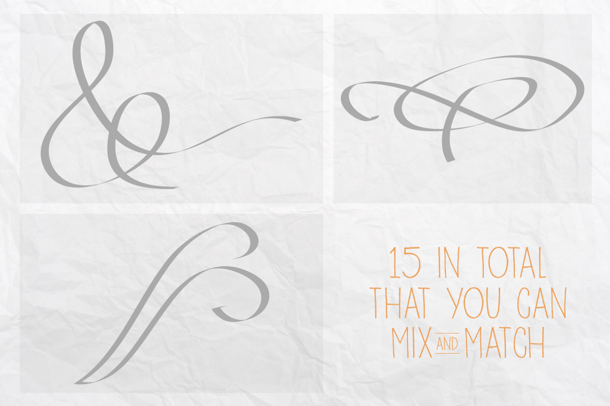 Vector Flourishes, a Decorative Illustration by Little Pixel Shop (Photo 5 of 5)