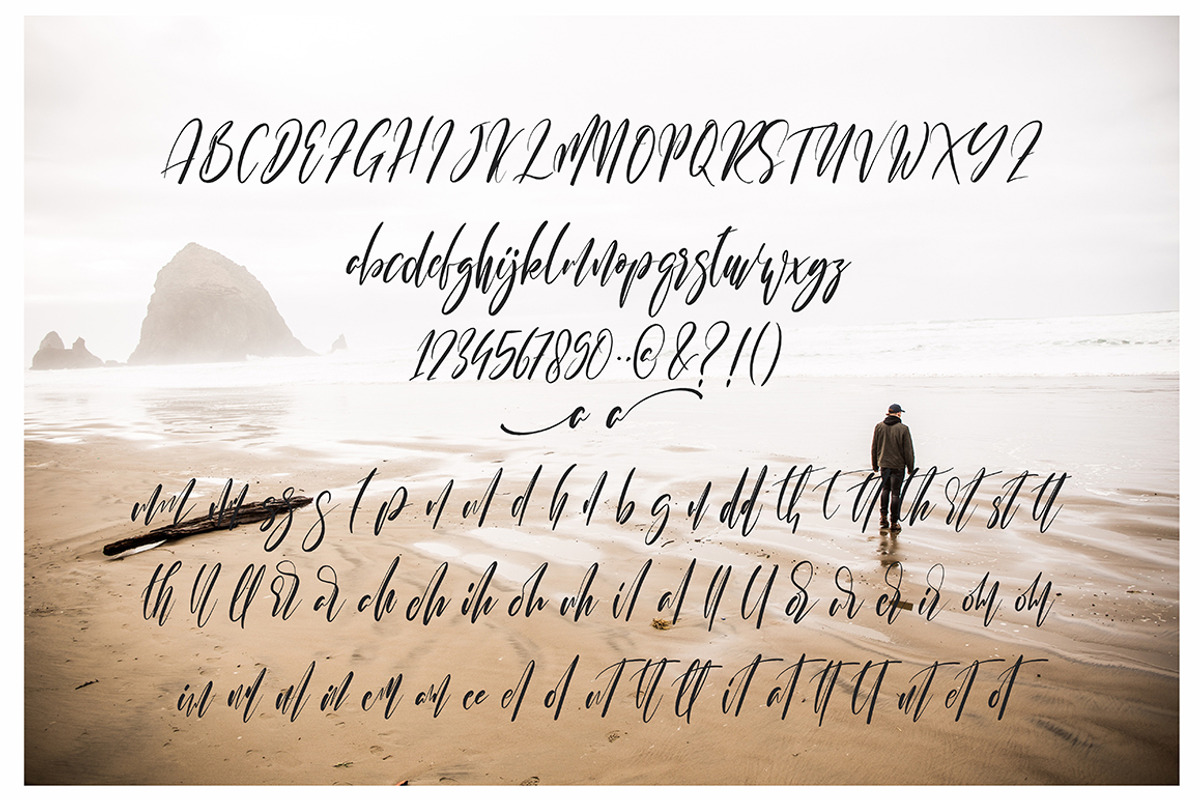 Sampestera Black Friday, a Script Font by MissinkLab Studio (Photo 10 of 10)