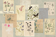 Vintage Museum Collage Elements Pack, an Object Graphic by Oksana Trygub (Thumbnail 21 of 29)