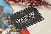 CS Denton – Flat Brush Font, a Serif Font by Craft Supply Co. (Thumbnail 4 of 8)