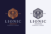 Lionic Lion Head Logo, a Branding & Logo Template by Design_Planet (Thumbnail 1 of 7)