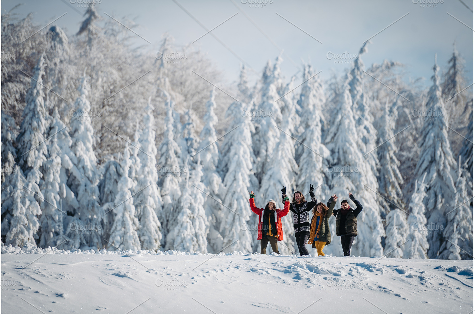 Group of friends enjoying winter, a Person Photo by HalfPoint