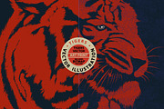 Tigers - Vector illustration, an Animal Illustration by Artistic & Unique (Thumbnail 5 of 8)